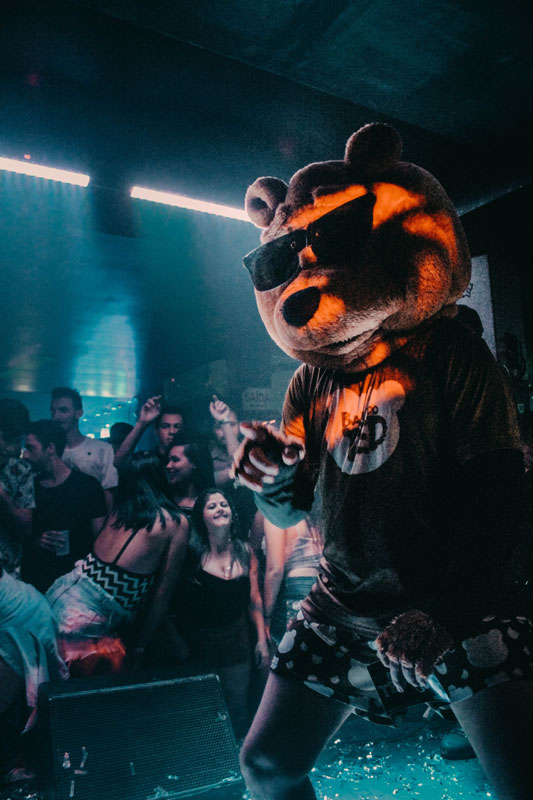 Mensch in Bären Kostüm auf in einer Disco mit Sekt Flasche in der Hand. Foto von hygor sakai von Pexels